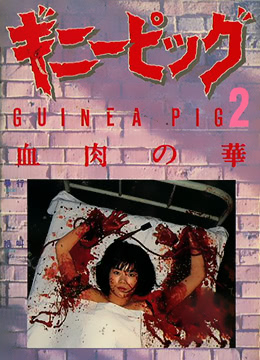 豚鼠系列之2：血肉之花